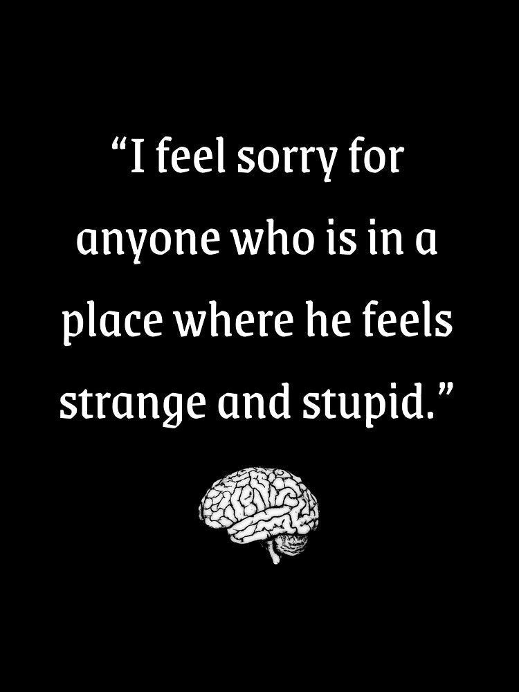 I feel sorry for anyone who is in a place where he feels strange and stupid | Wisdom Quotes by WisdomQuotes42