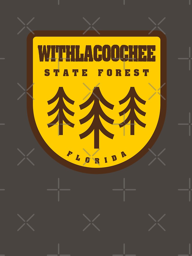 Withlacoochee State Forest Florida by bivenart