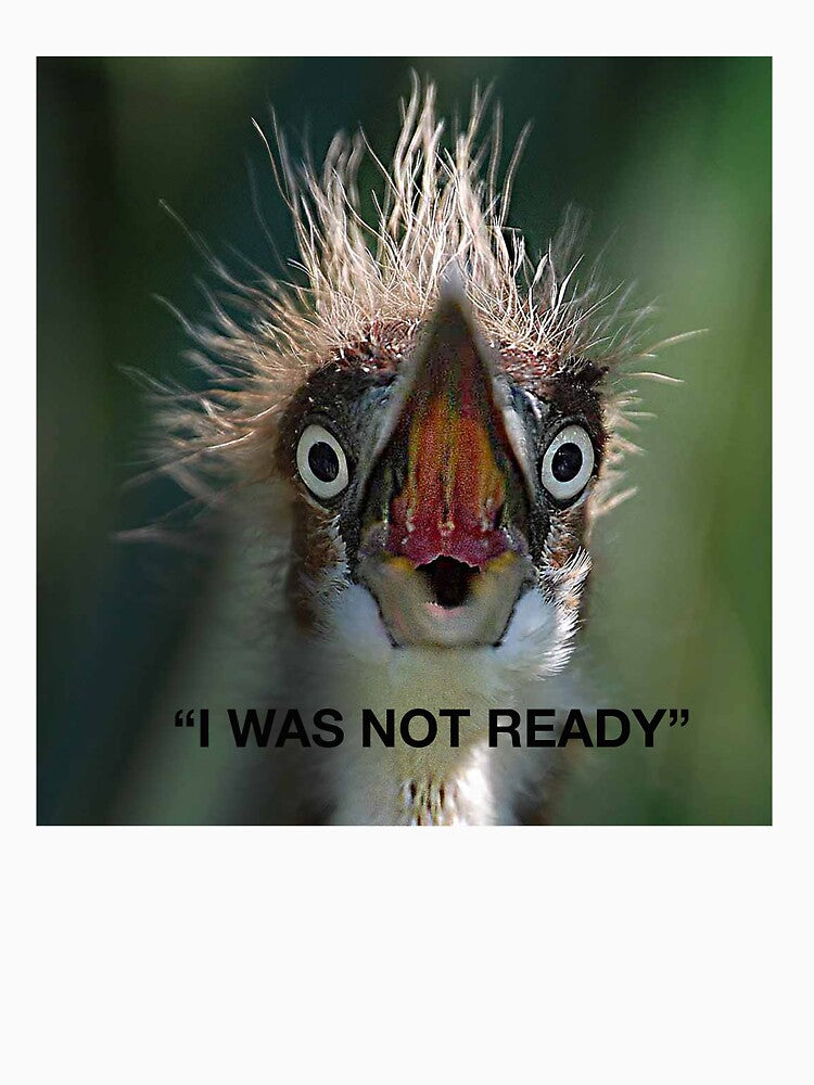 I WAS NOT READY by SKIP WILLITS FINE ART