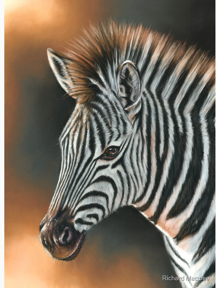 Zebra by Richard Macwee