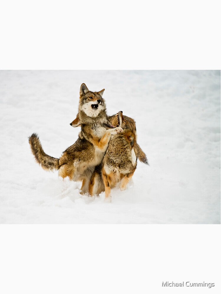 Coyotes Playing 2 by Michael Cummings