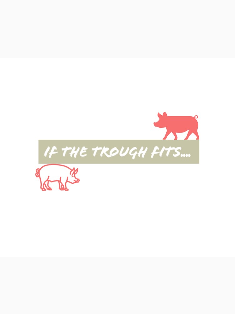 If the trough fits; design 2 by Brendan Mullen