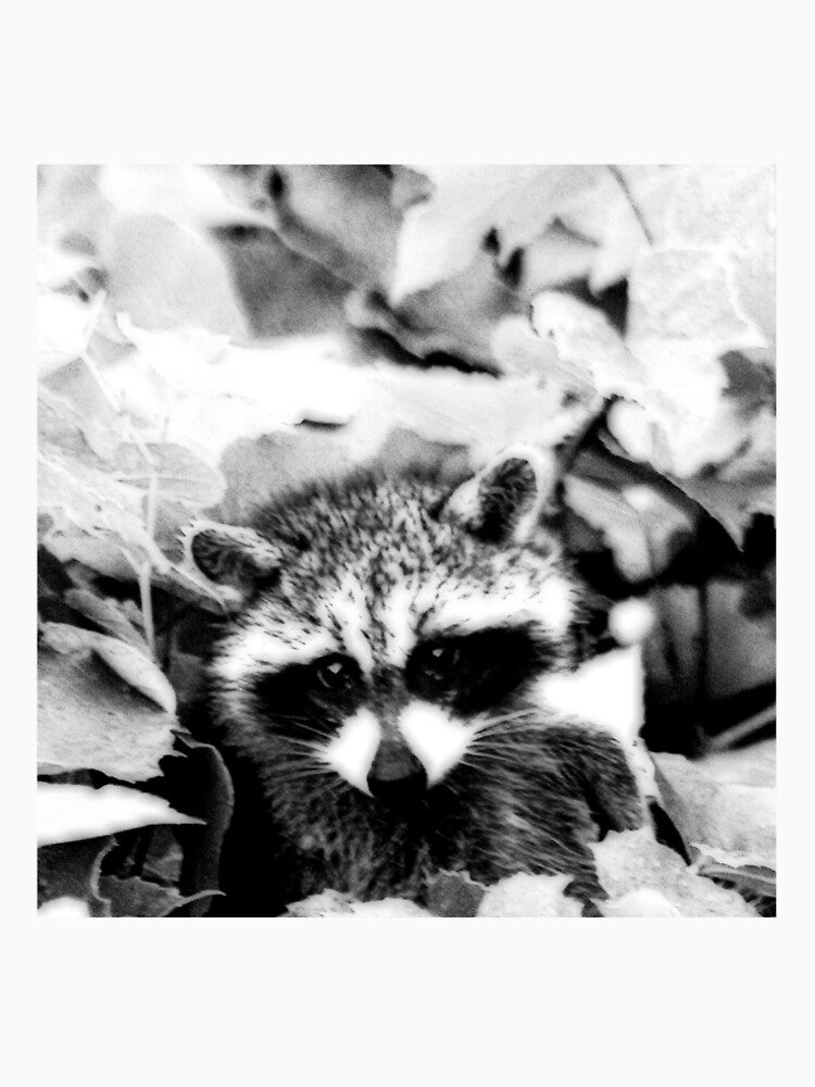 BLACK & WHITE COON by BOLLA67