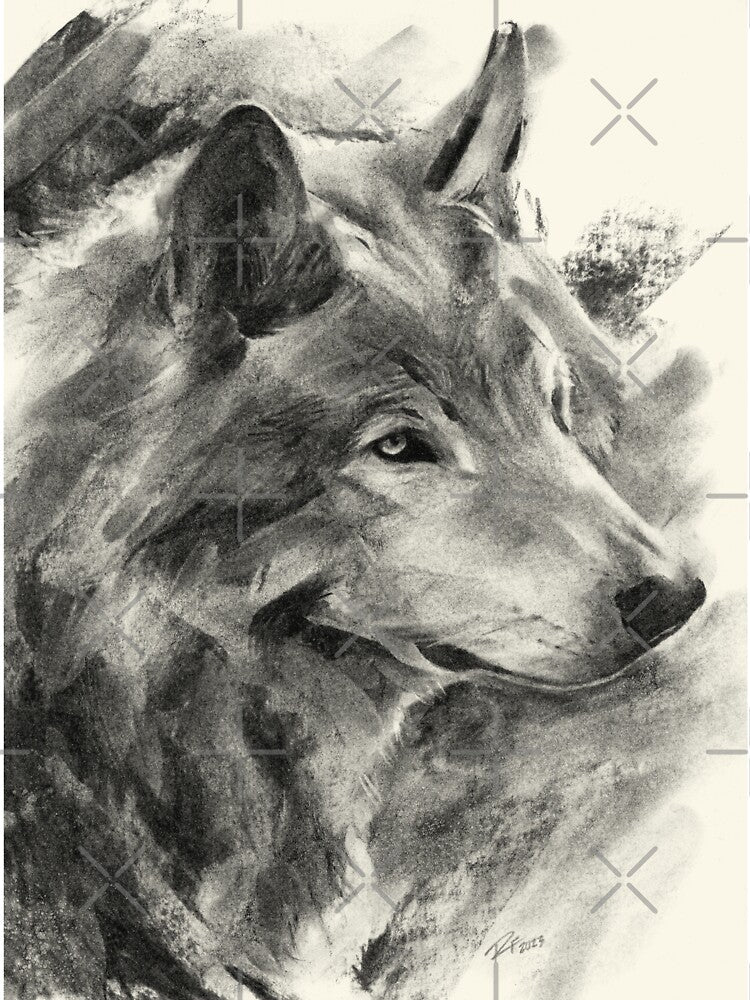 Wolf Art, Wolf Portrait Drawing, Animal Gift, Wolf Gifts by Rachel Felicity Art