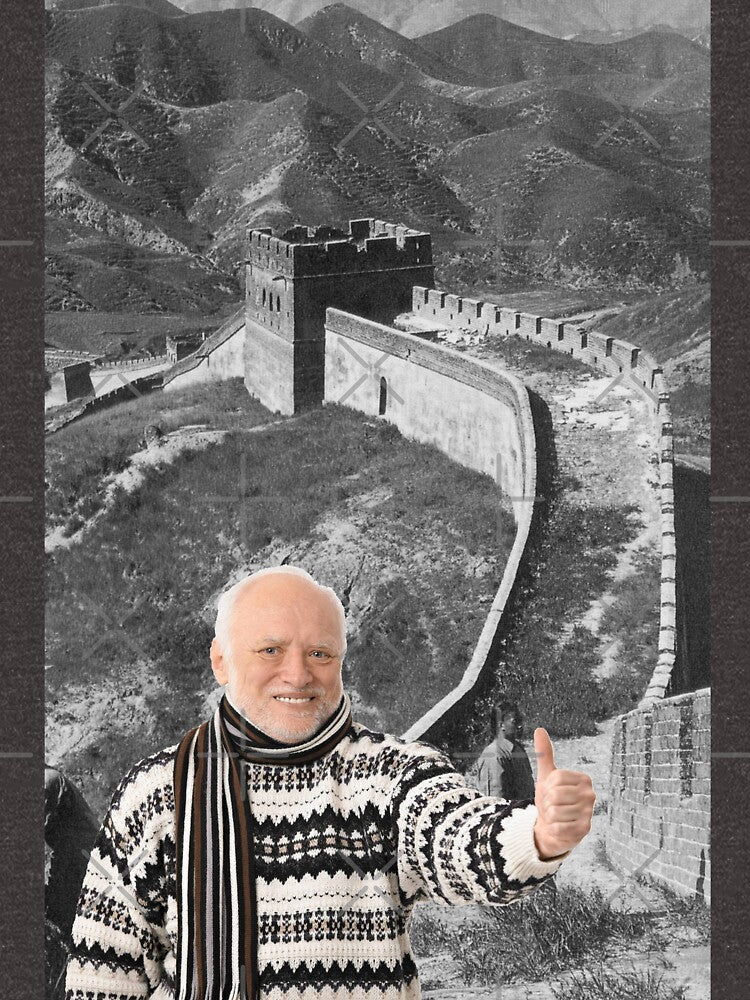 Hide Your Pain Harold In China by Meredibbs