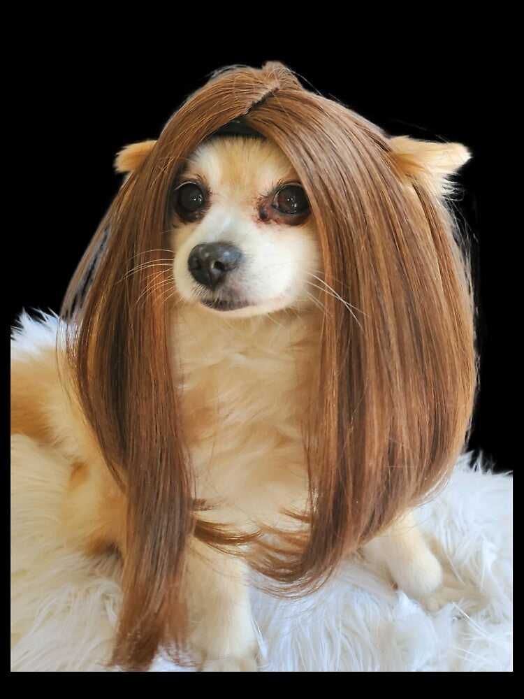 dog with wig by Thehecticstore