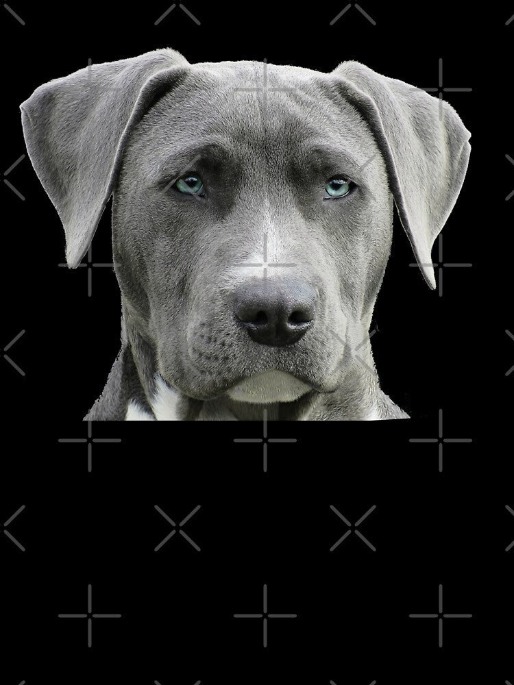 The Boss Dog - Black by simpleones