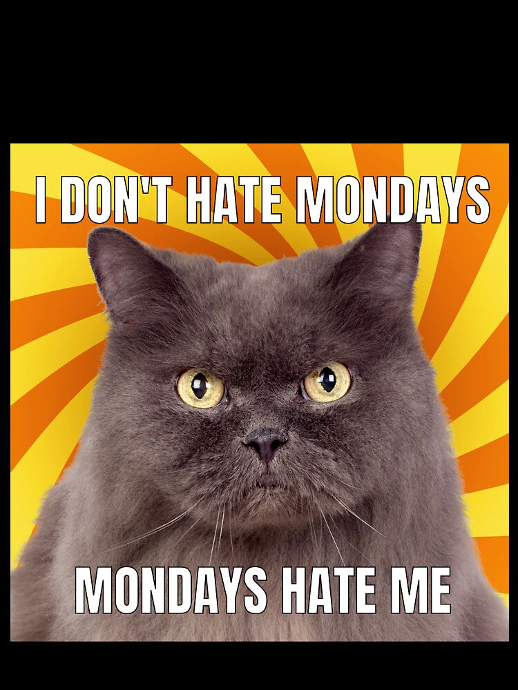 I dont Hate Mondays, Mondays hate me Cat Meme Funny Cool by popotamfriends