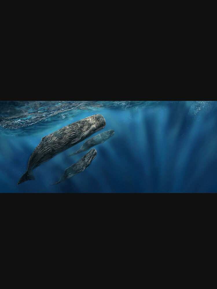 World Whale Day by alandodrawing