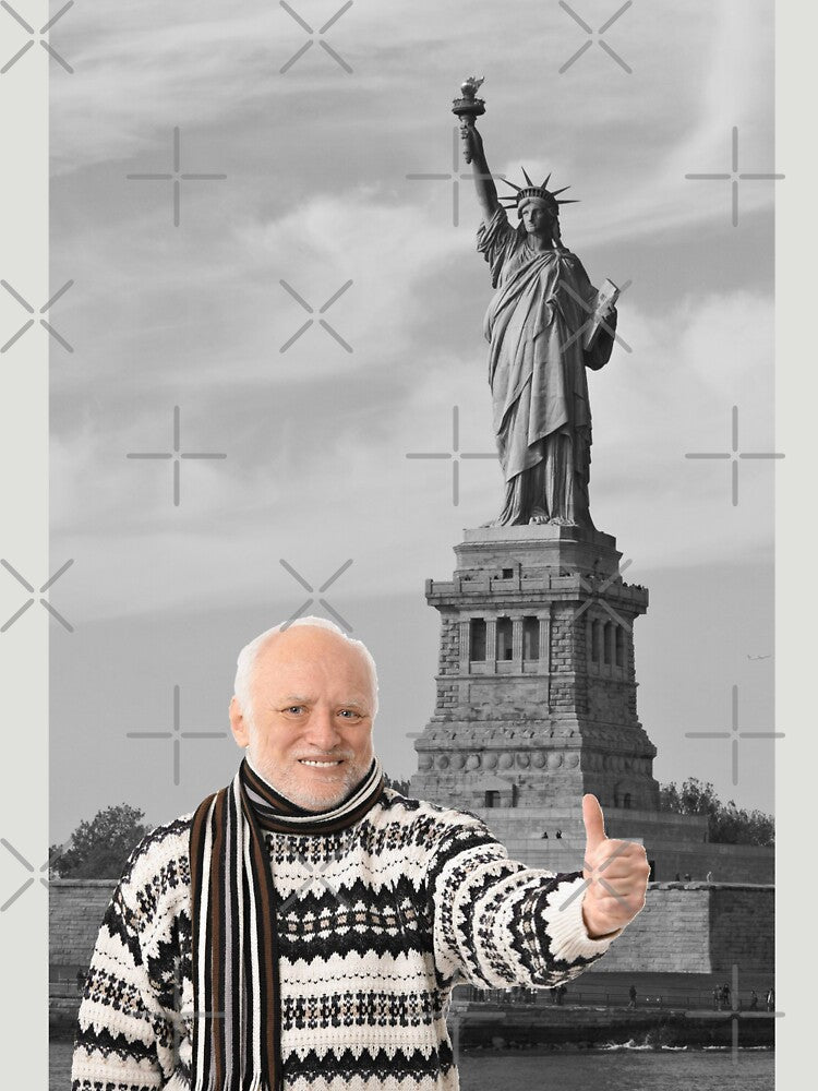 Hide Your Pain Harold In America by Meredibbs