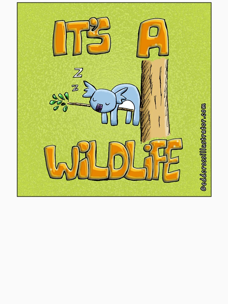 It's a Wildlife - Sleeping Koala by eddcross