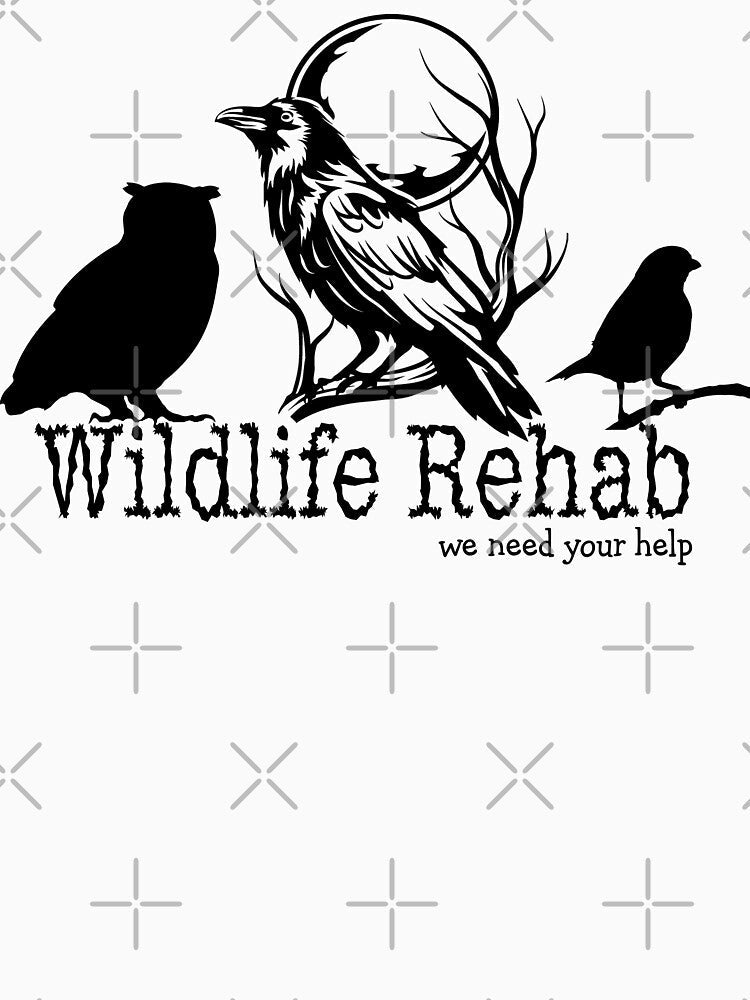 Birds Wildlife Rehabilitation We Need Your Help by The Tinker Man's Daughter