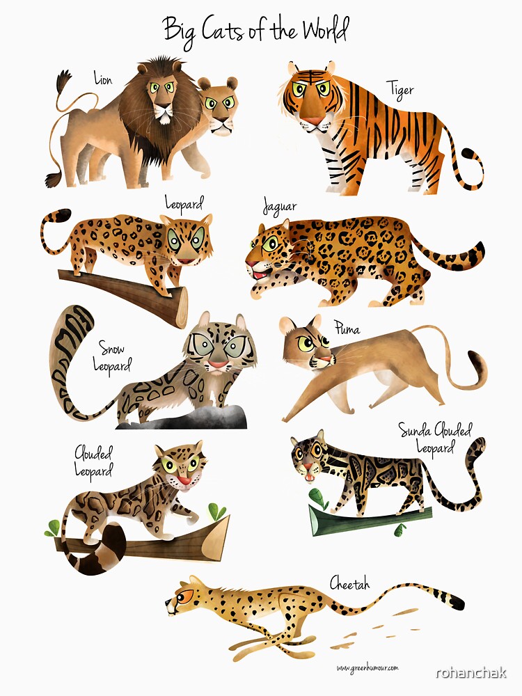 Big cats of the World by Green Humour