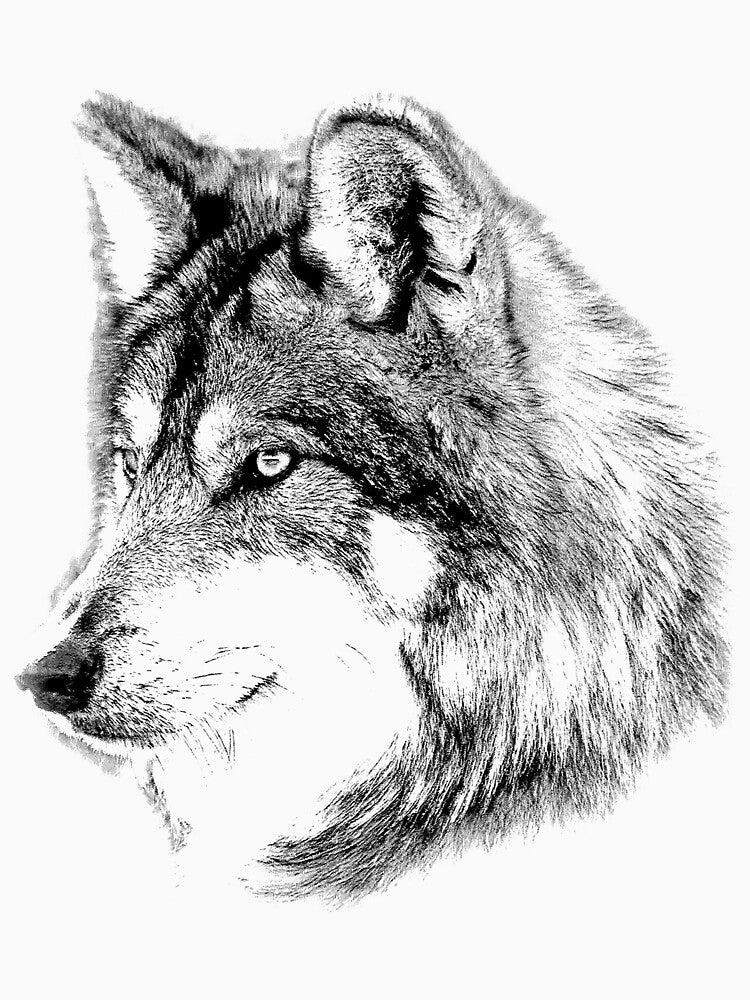 Wolf Face. Majestic Wolf Gazes Into The Distance. by Digital Eclectica