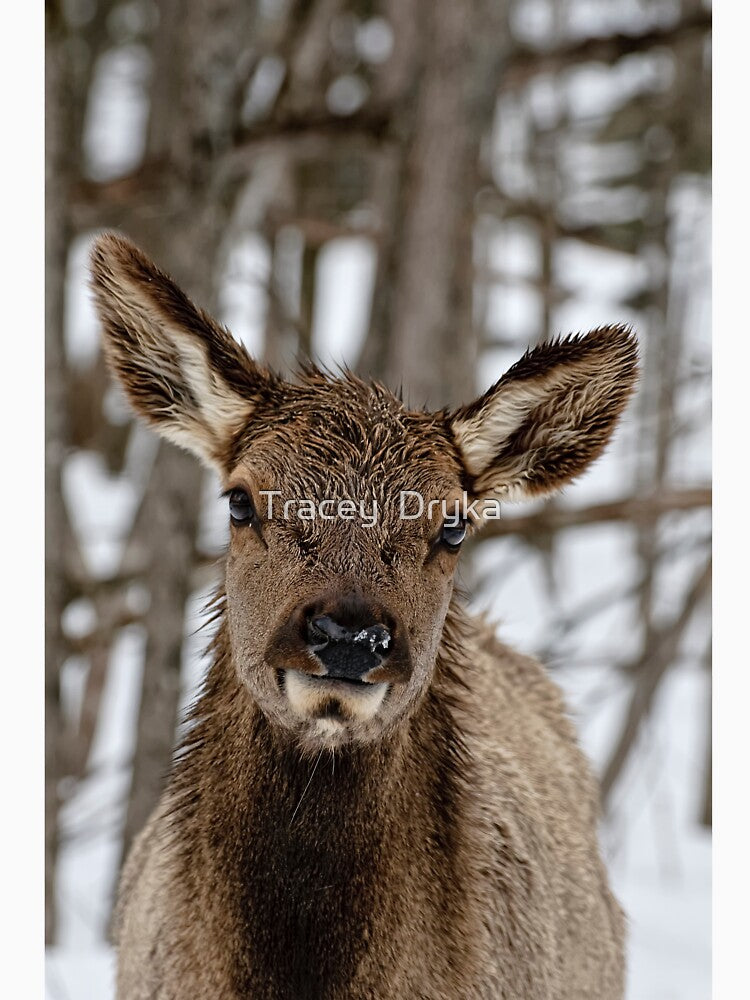 Wait ... I'm coming! by Tracey  Dryka