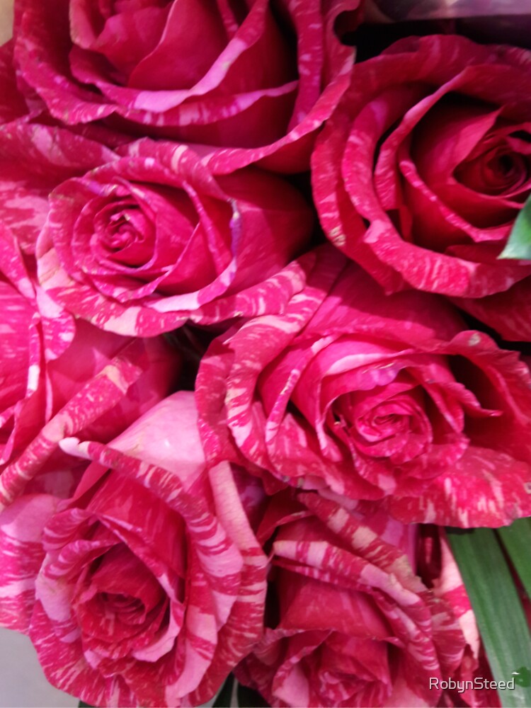 Novelty Roses by RobynSteed