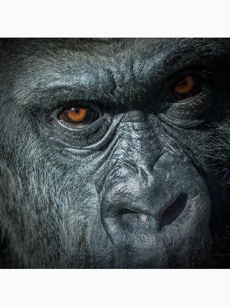 Gorilla by Conservation Art Emporium