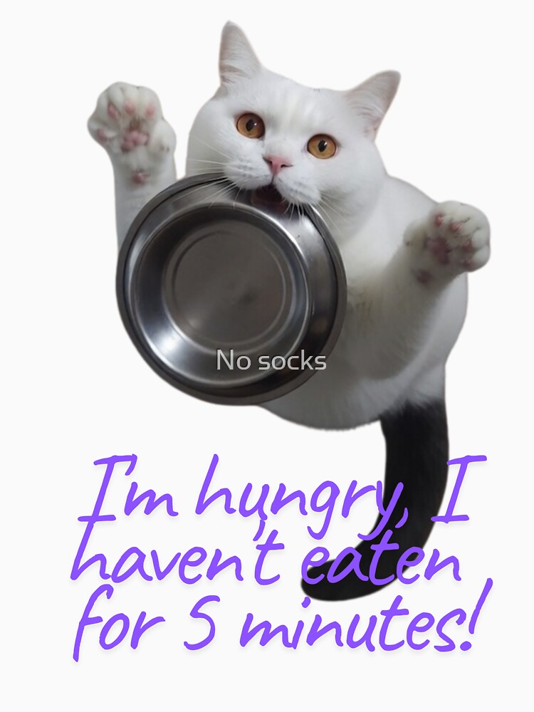 Hungry funny cat by No socks