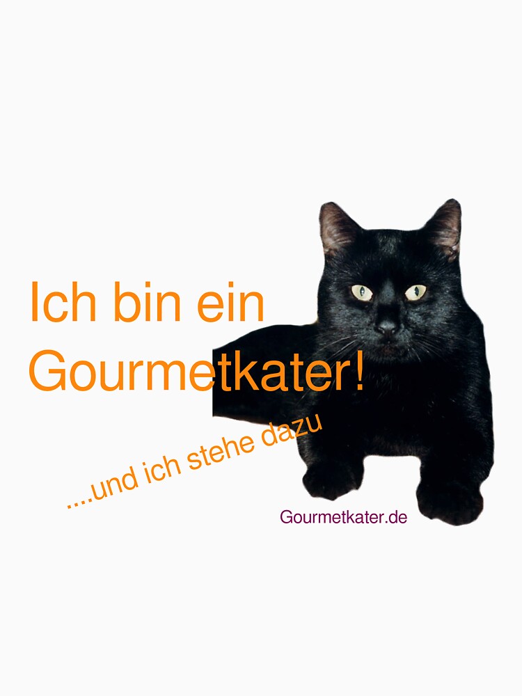 I am a gourmet hangover by Gourmetkater
