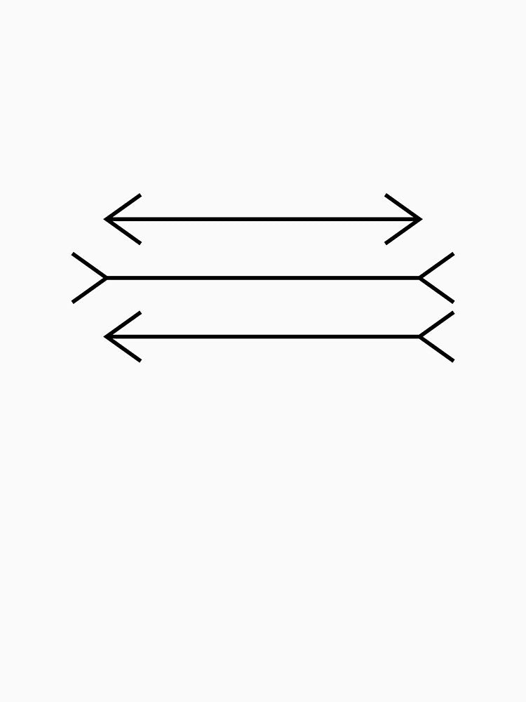 The Müller-Lyer illusion by LochRavenUk