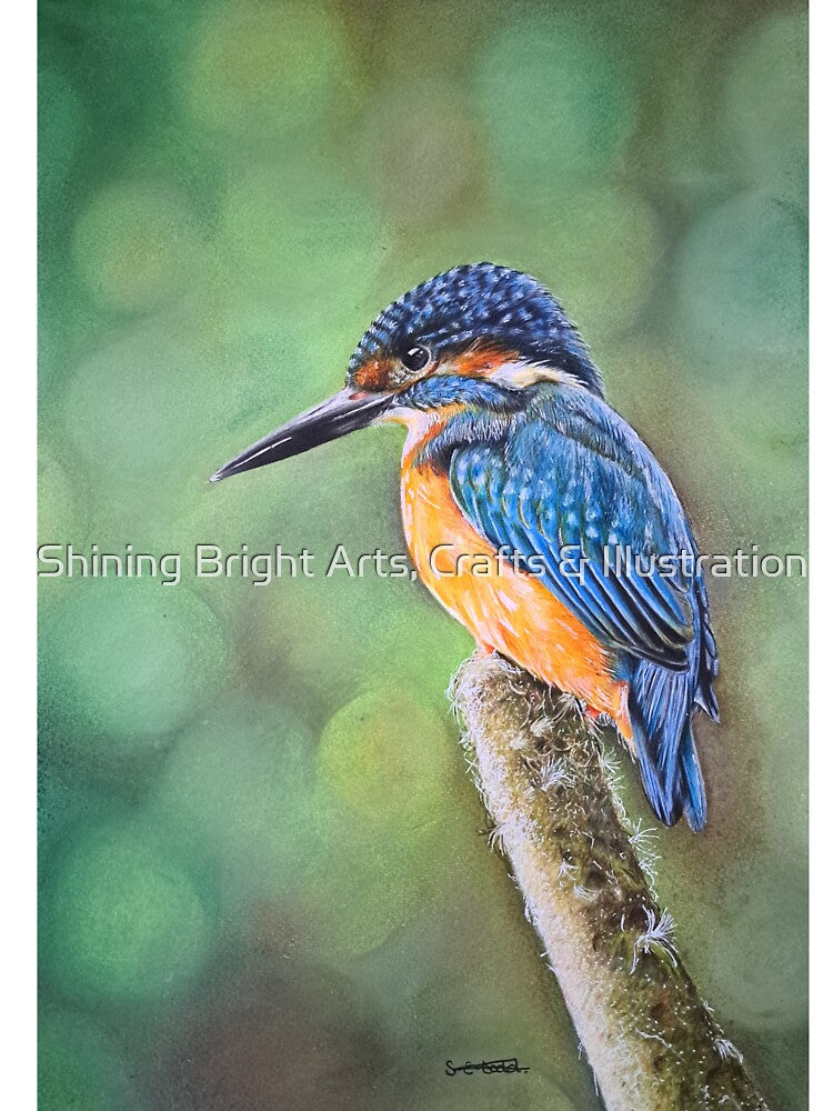 The Perching Kingfisher by Shining Bright Arts, Crafts & Illustration