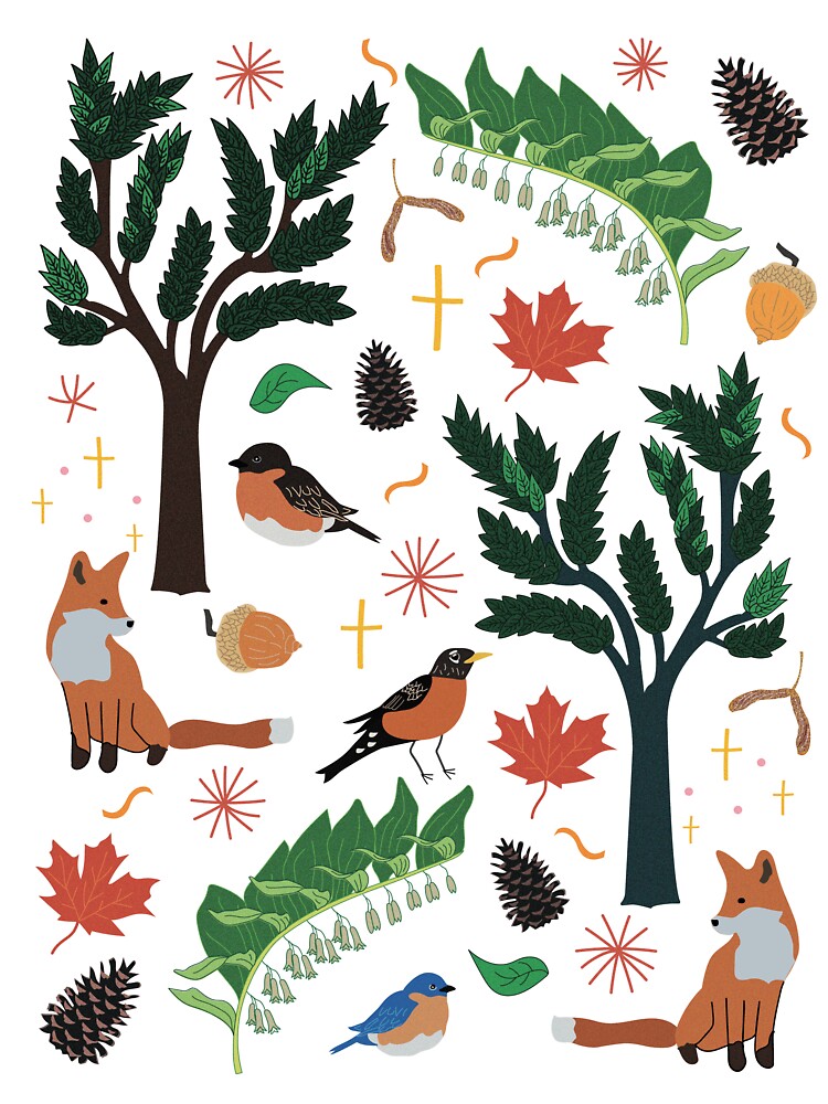 Wildlife by KatieCCreative