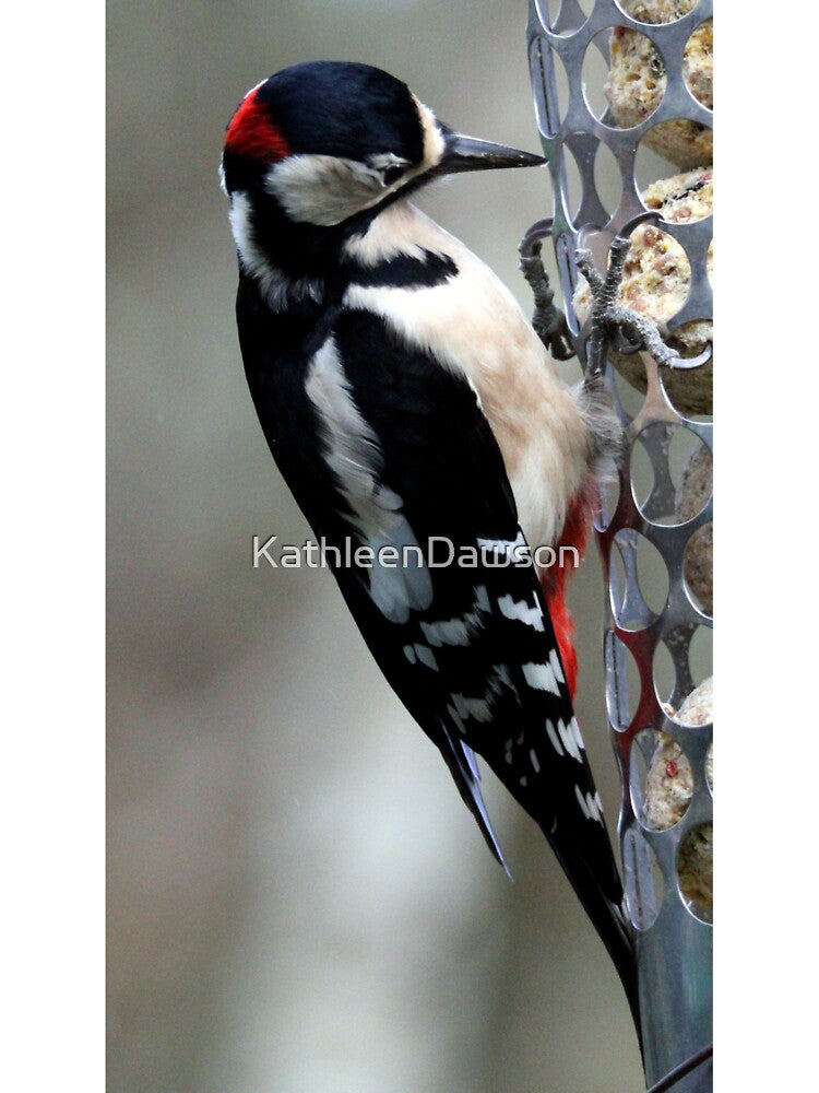 woodpecker by KathleenDawson