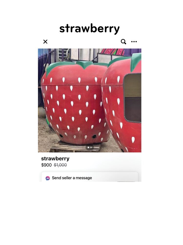 strawberry by oliviashirtaday