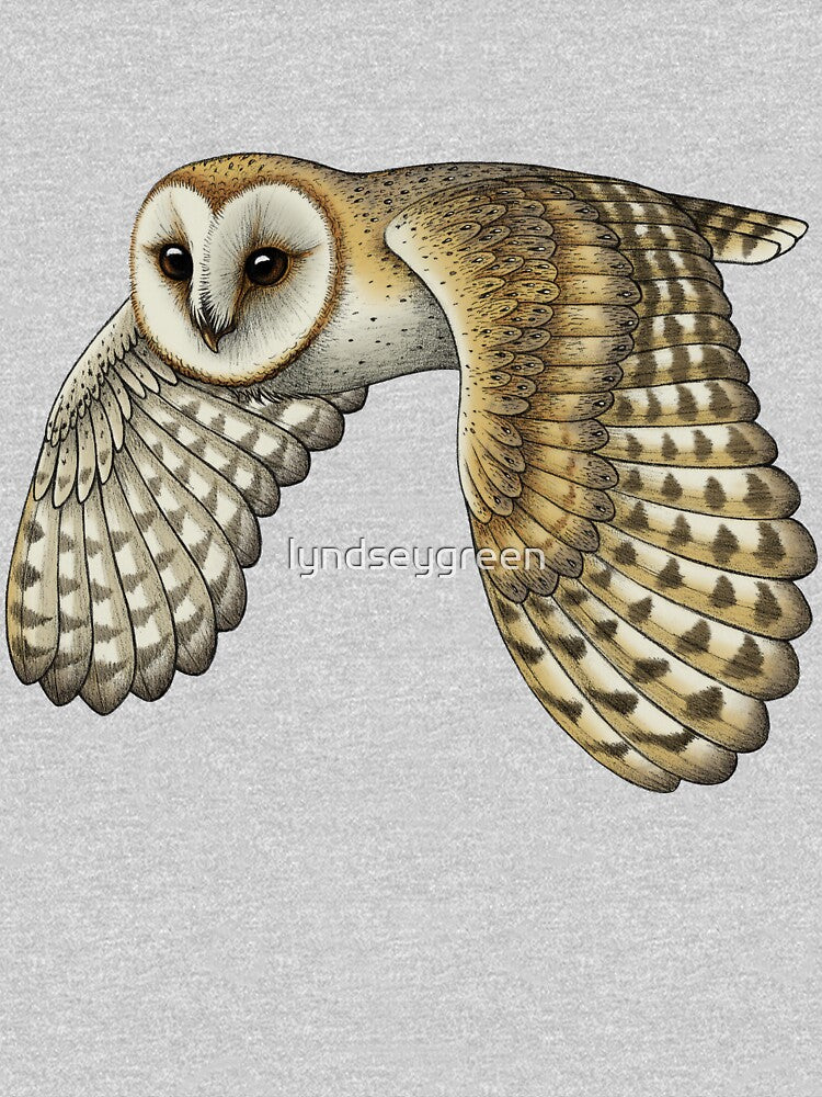Barn Owl by lyndseygreen