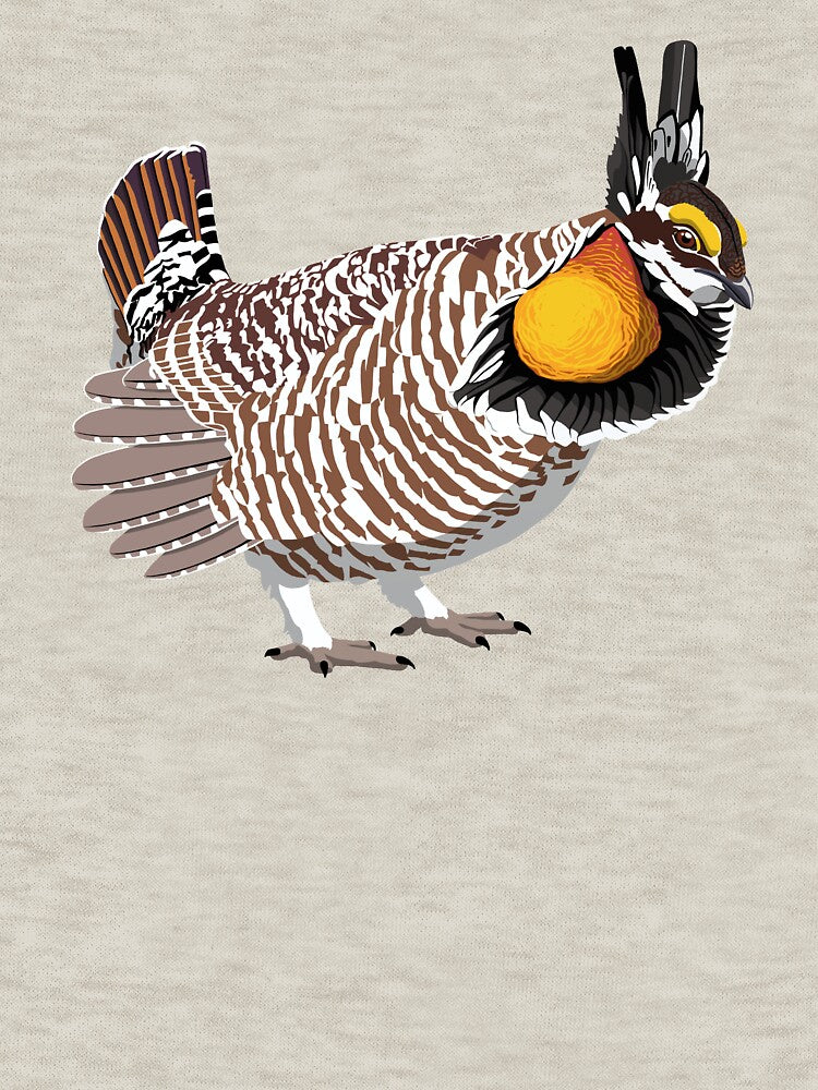 Greater Prairie Chicken by BennuBirdy