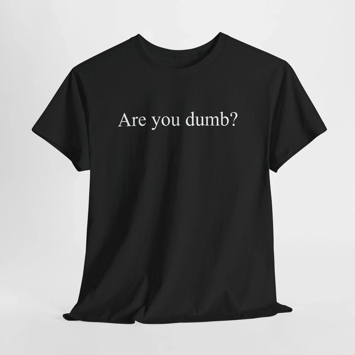 Are You Dumb? Tee Funny Minimal Text Sarcastic Offensive Quote Graphic T-Shirt