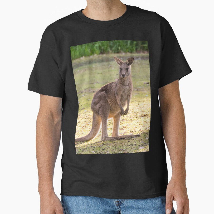Mob of Eastern Grey Kangaroos by rossacampbell