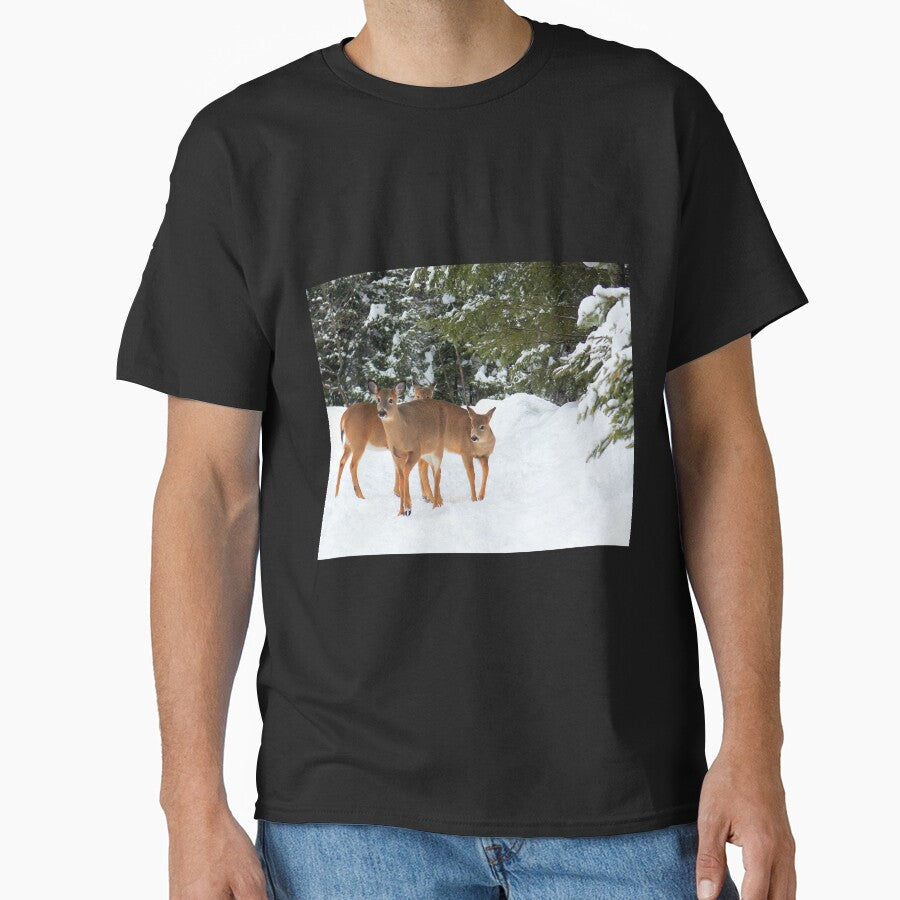 Beautiful Deer Foursome. by vette