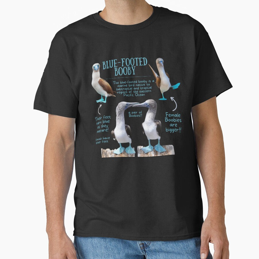 Blue-footed Booby Fun Fact by KyleNesas