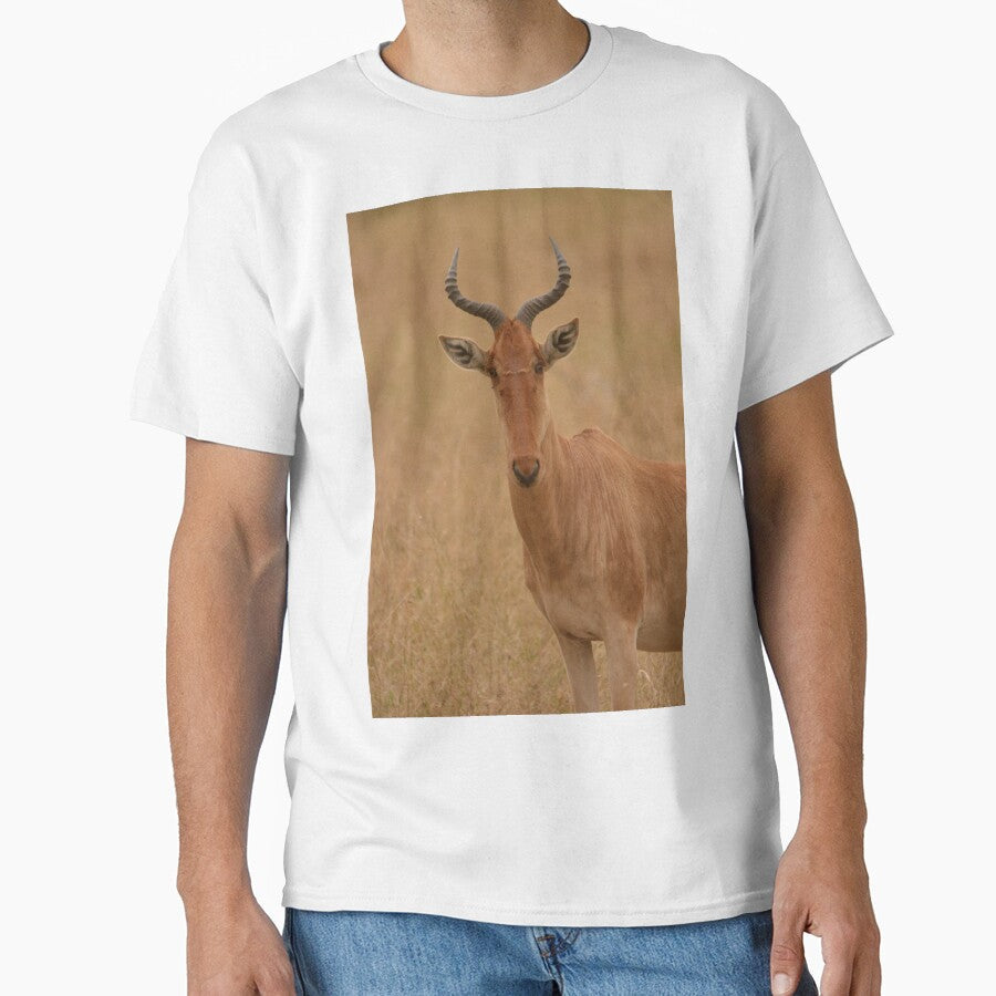 Hartebeest by Barny  Martin