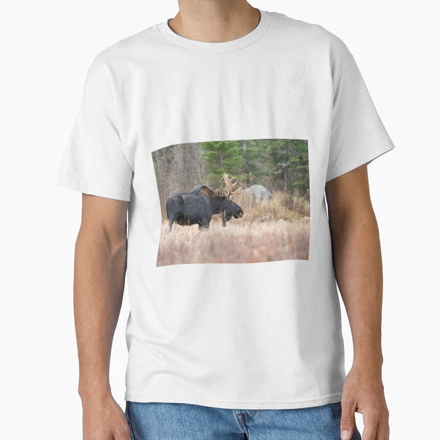 Bull Moose In Field by Michael Cummings