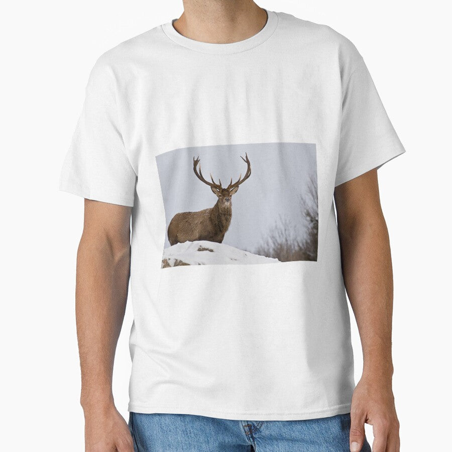 Elk On Hill by Michael Cummings