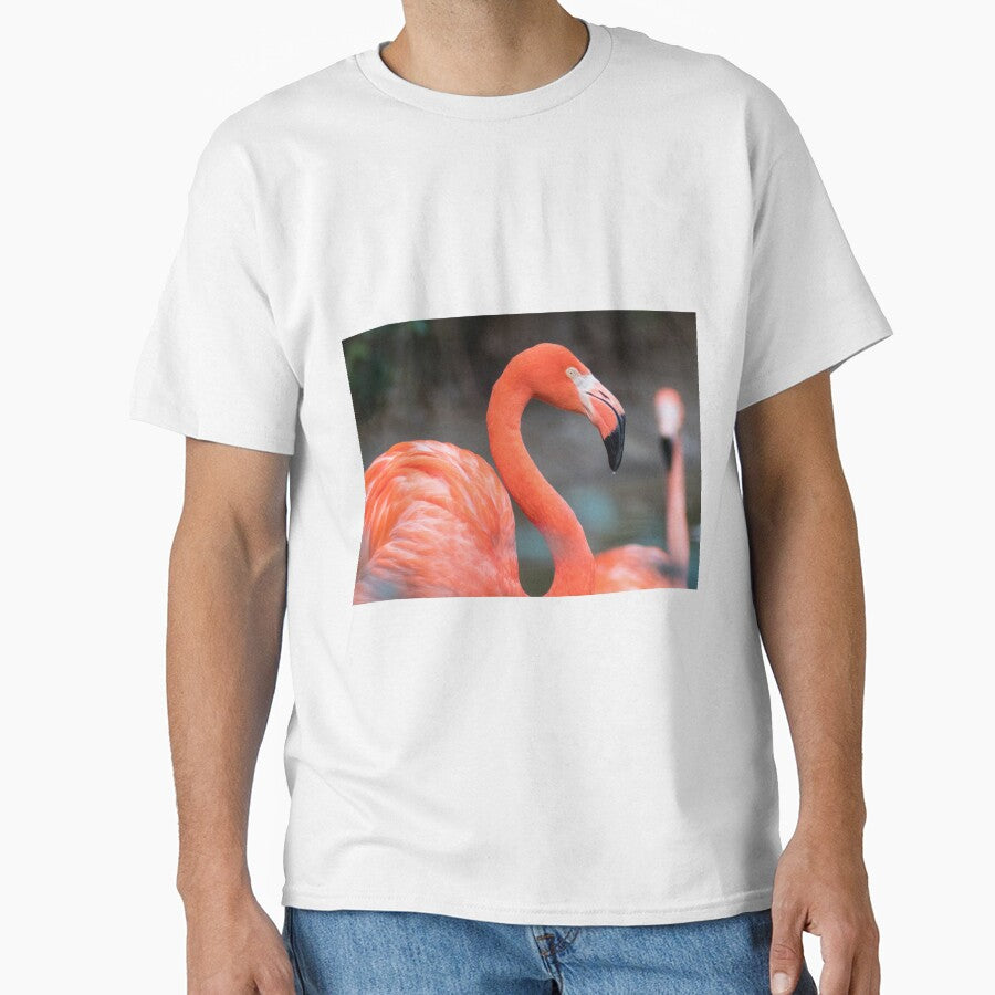 Flamingo Dreams by Jacquelie