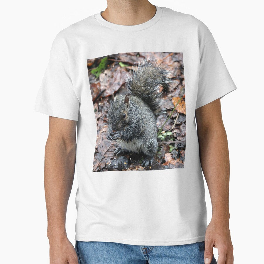 squirrel by KathleenDawson
