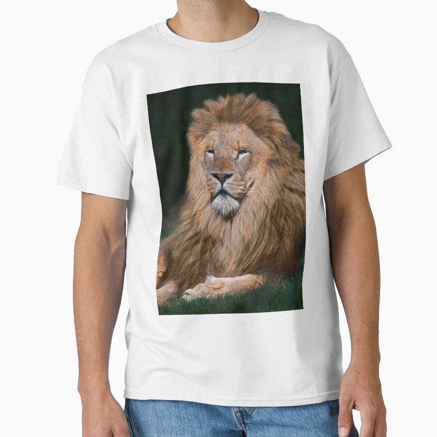 King of the Pride by Krys Bailey
