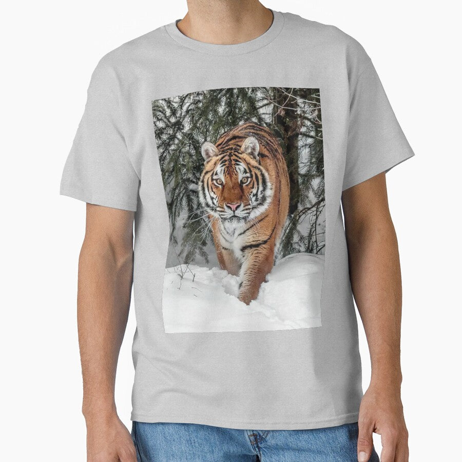 Siberian Amur Tiger by MorningFive