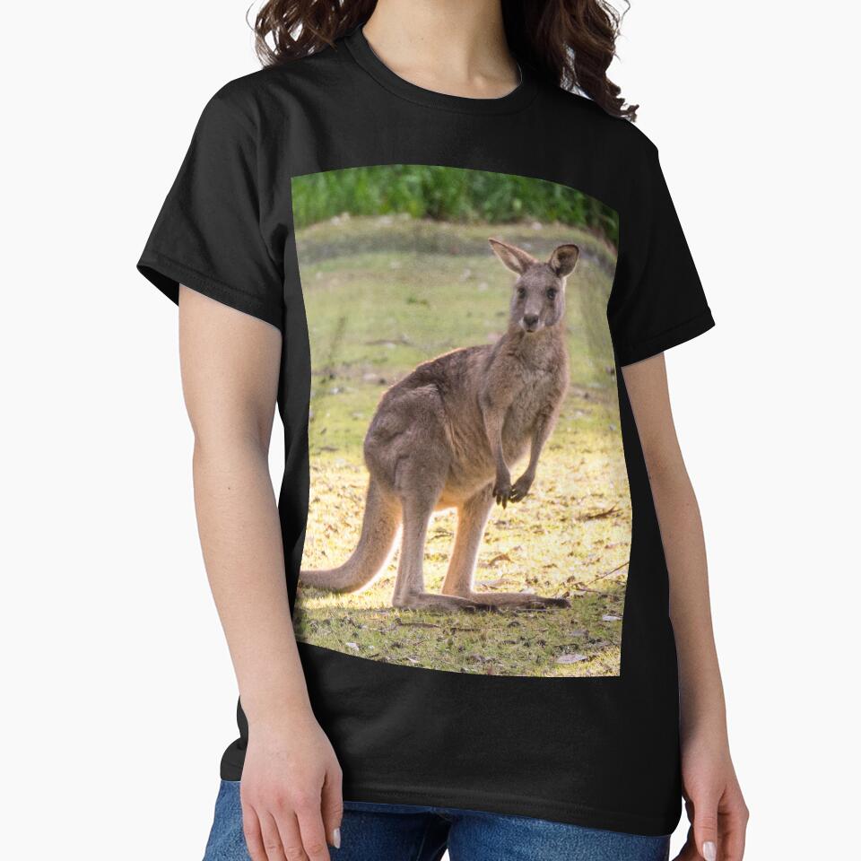Mob of Eastern Grey Kangaroos by rossacampbell