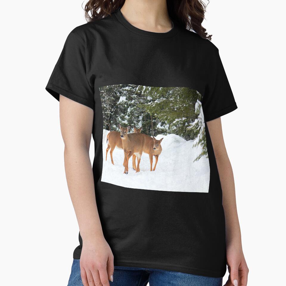 Beautiful Deer Foursome. by vette