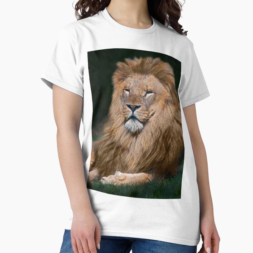 King of the Pride by Krys Bailey
