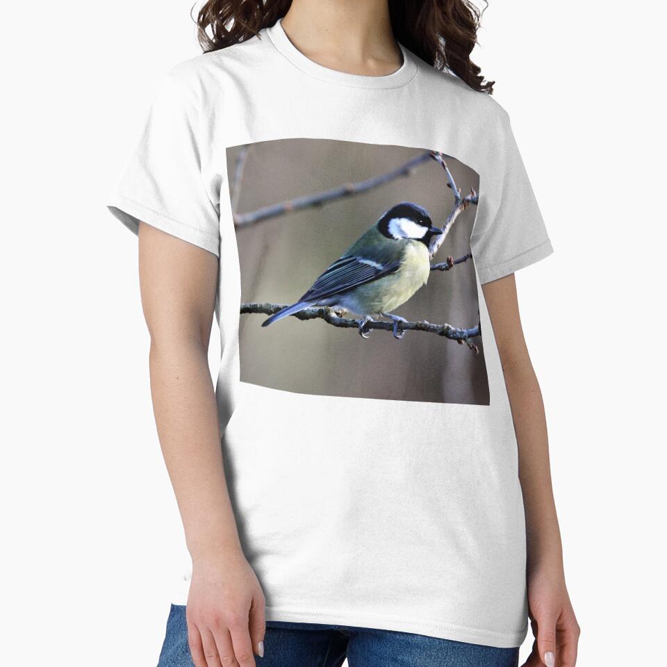 great tit by KathleenDawson