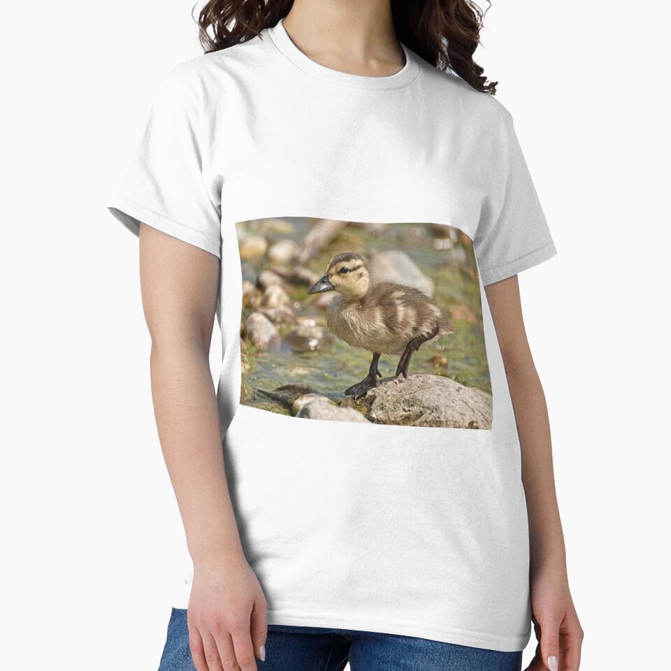What's Quacking! by Tracey  Dryka