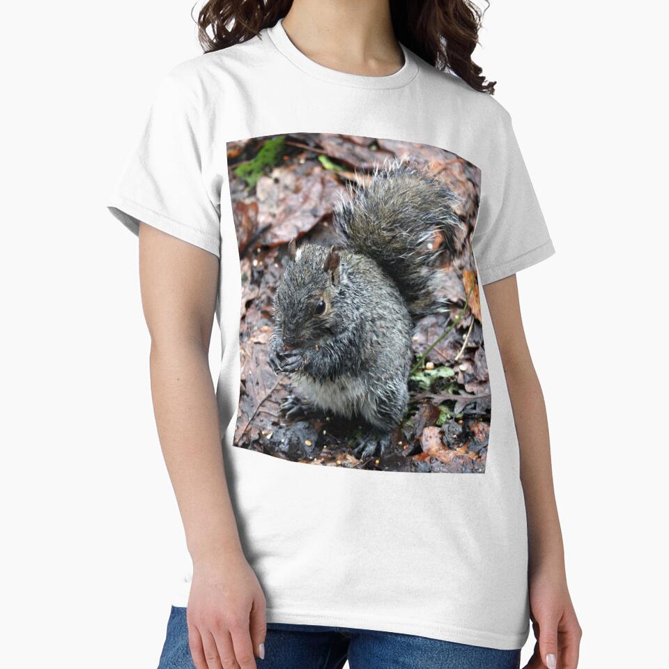 squirrel by KathleenDawson
