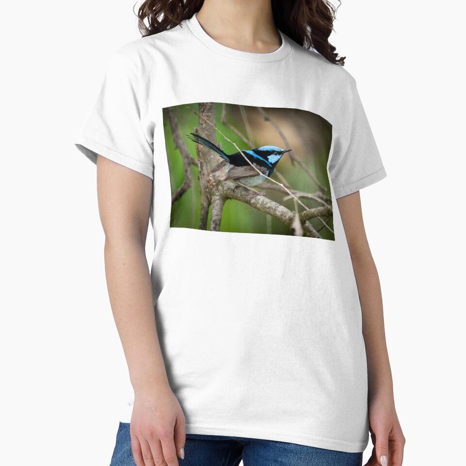 Superb Fairy Wren III by D-GaP