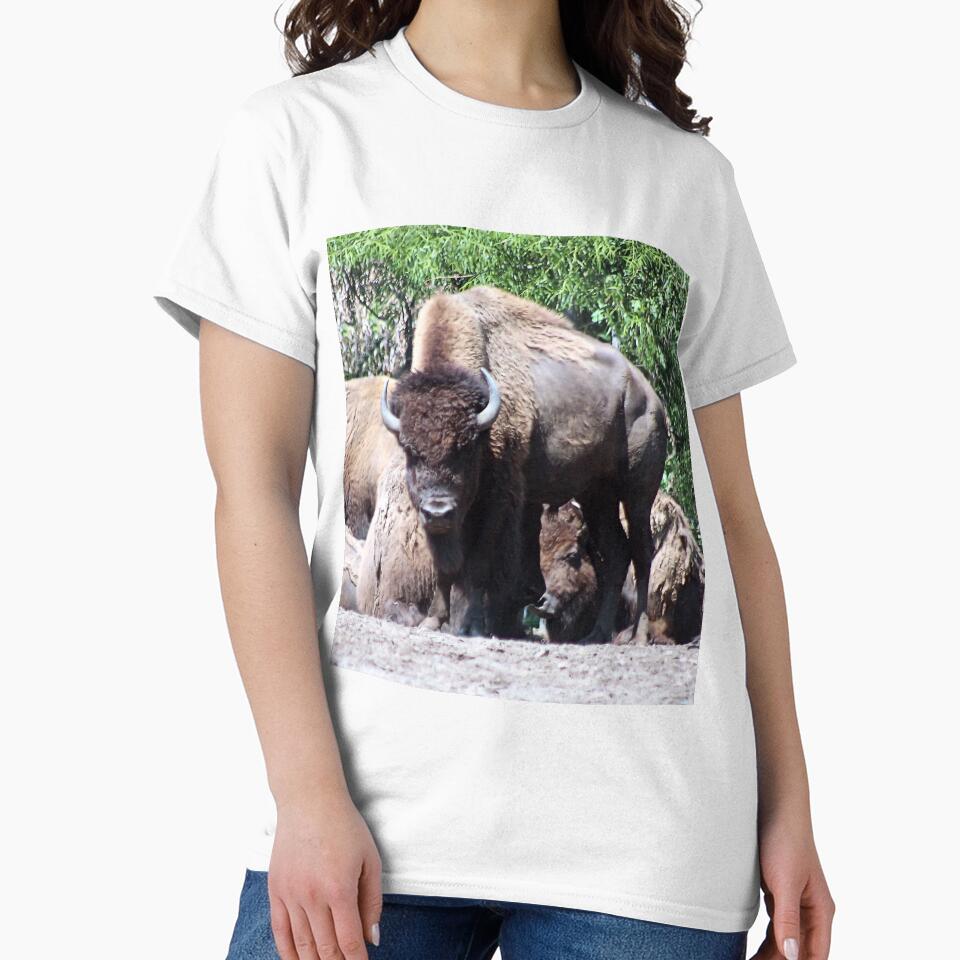 WHERE THE BUFFALO ROAM by BOLLA67