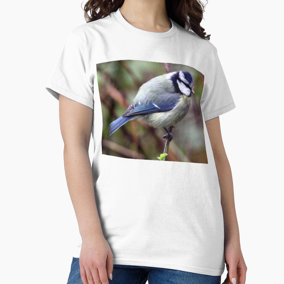blue tit by KathleenDawson